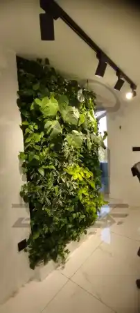 اجرای بنگاه املاک در شیراز