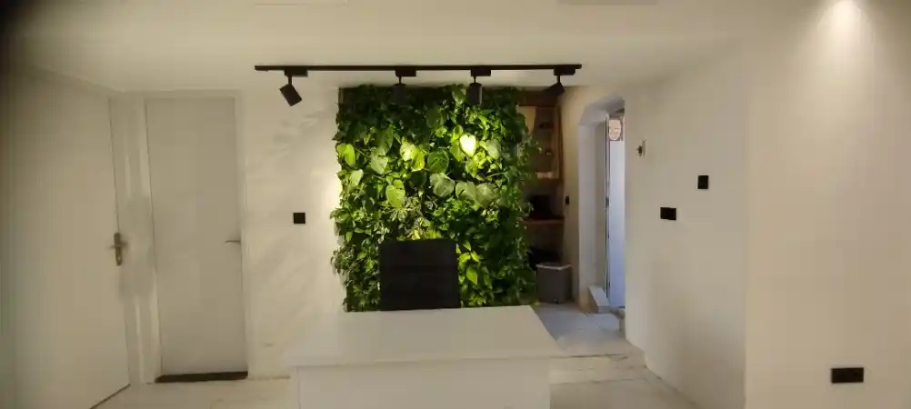 اجرای بنگاه املاک در شیراز