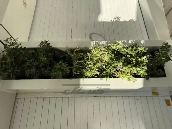 اجرای محوطه آزمایشگاه در شیراز