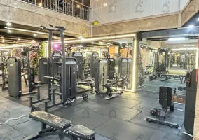 اجرای باشگاه بدن سازی در شیراز